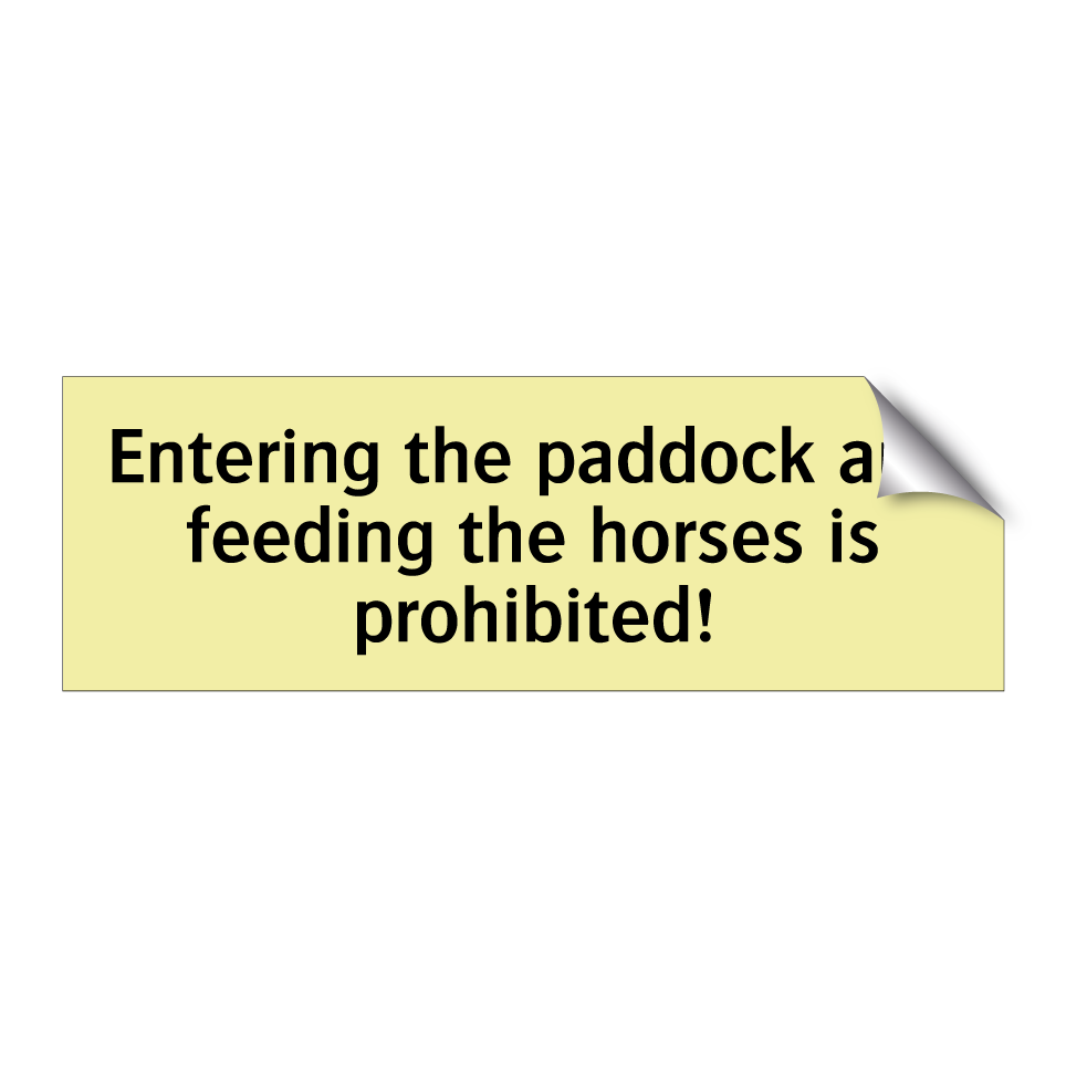 Entering the paddock and feeding the horses is prohibited!