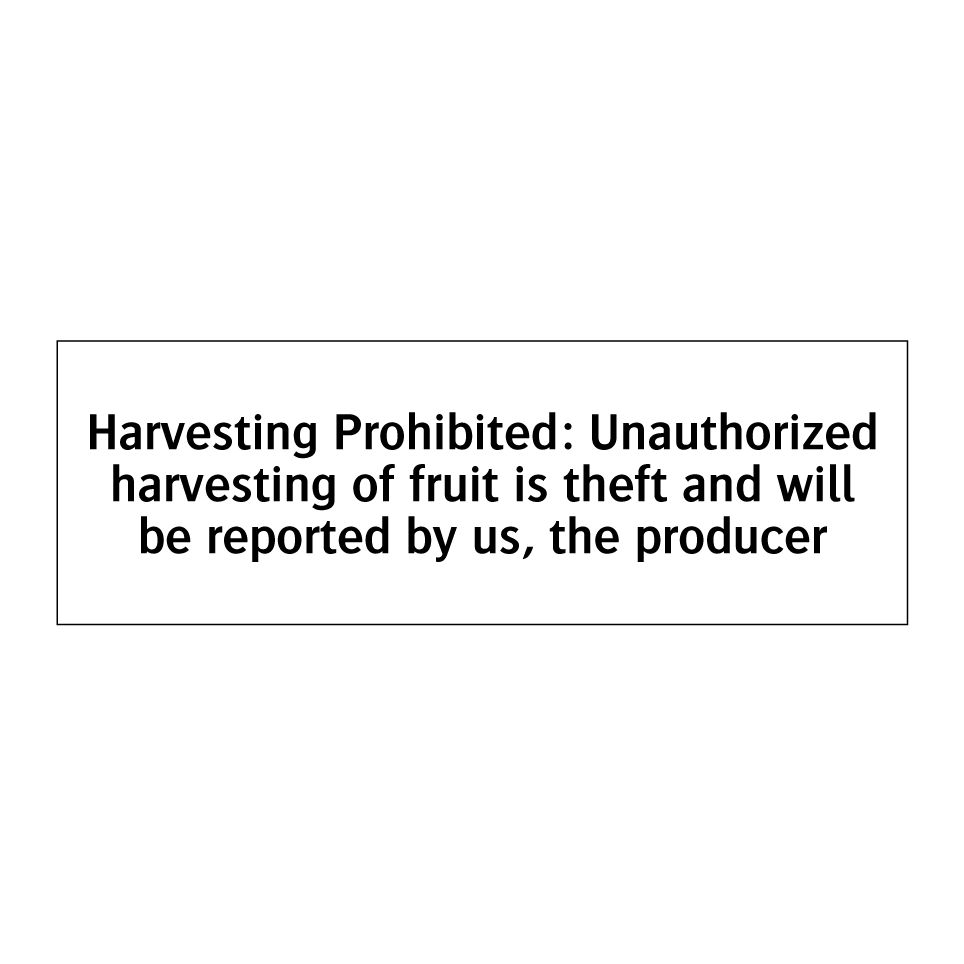 Harvesting Prohibited: Unauthorized harvesting of fruit is theft and will be reported by us, the producer