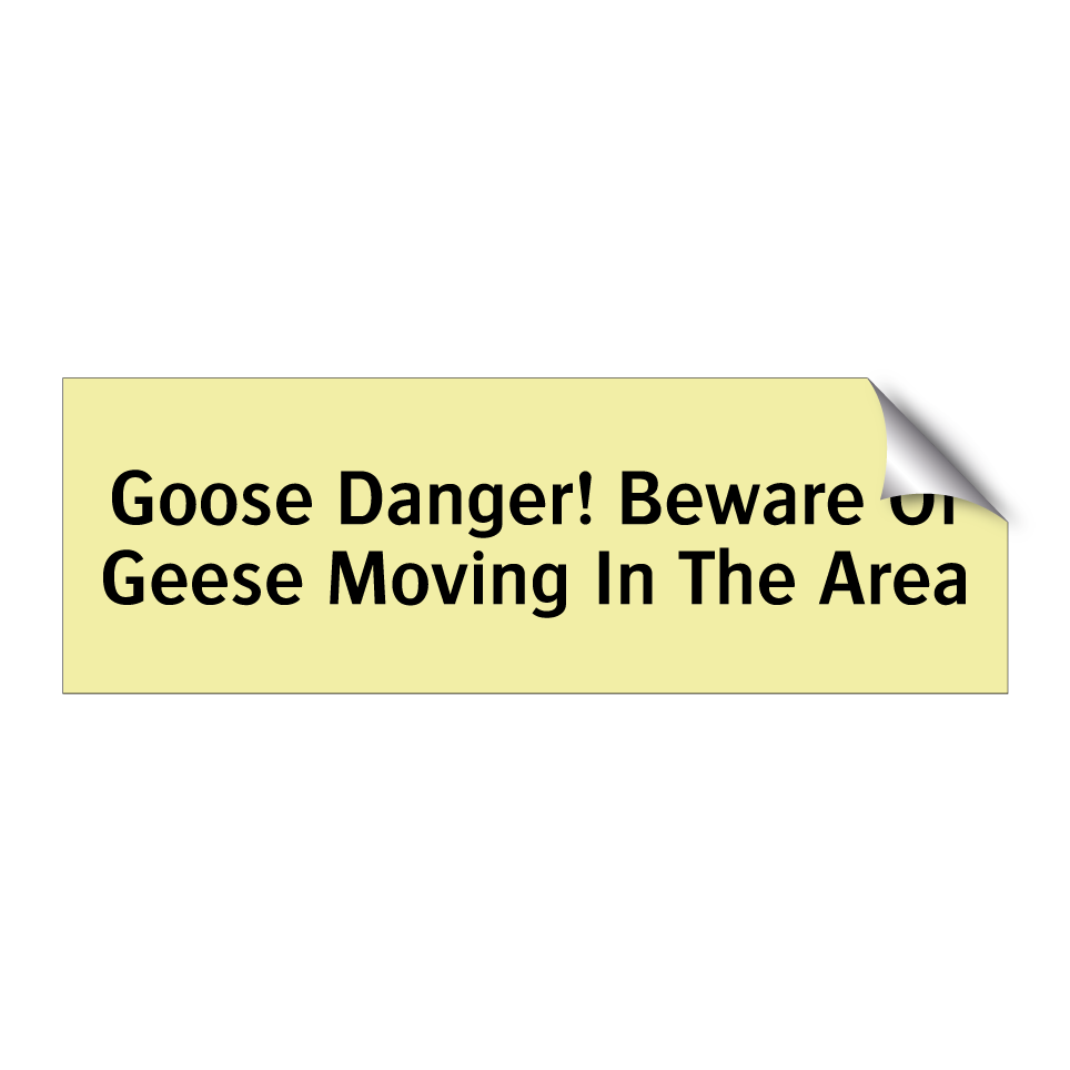 Goose Danger! Beware Of Geese Moving In The Area