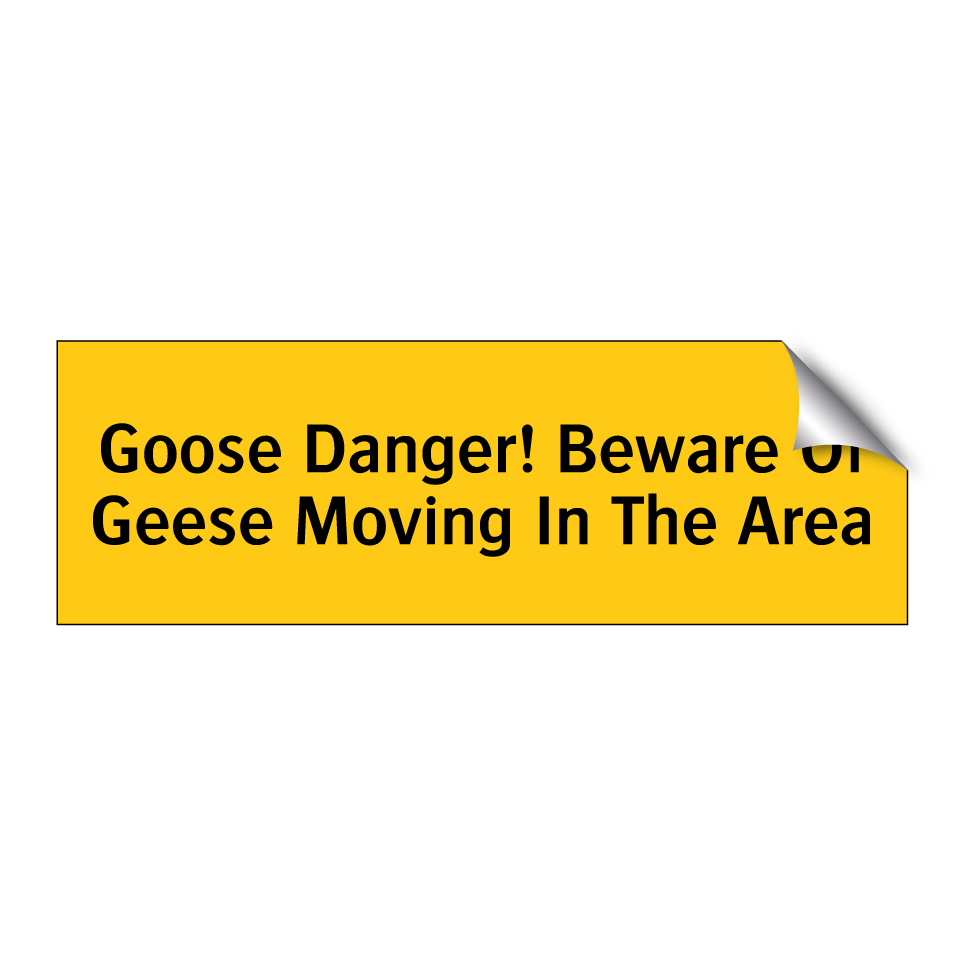 Goose Danger! Beware Of Geese Moving In The Area