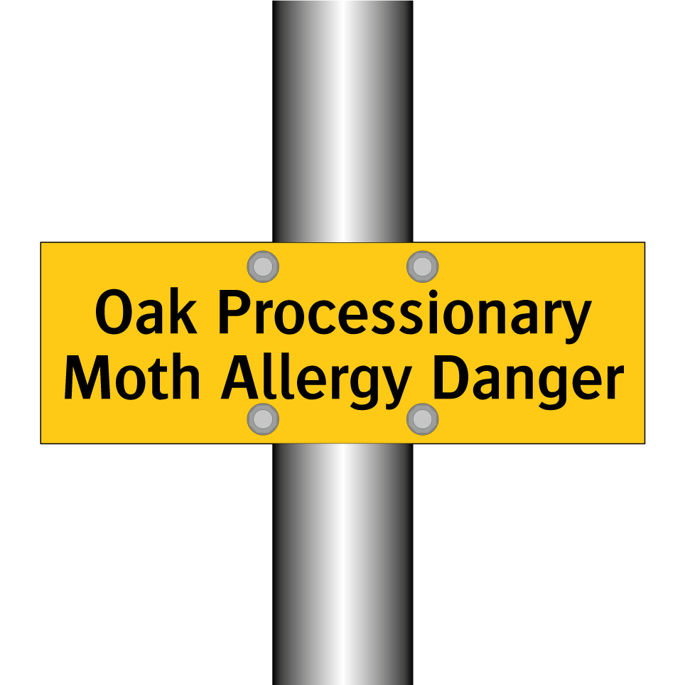 Oak Processionary Moth Allergy Danger