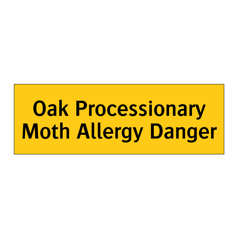 Oak Processionary Moth Allergy Danger