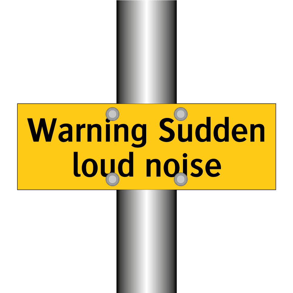 Warning Sudden loud noise