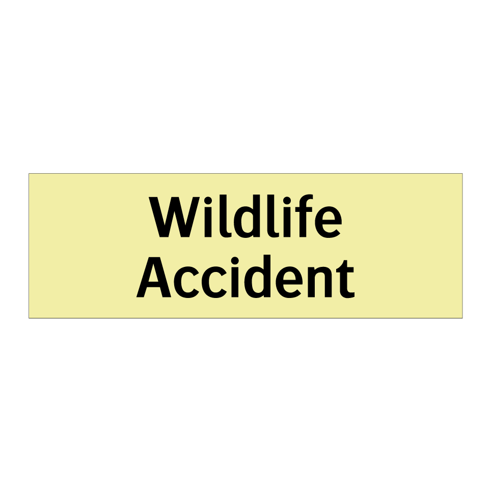 Wildlife Accident