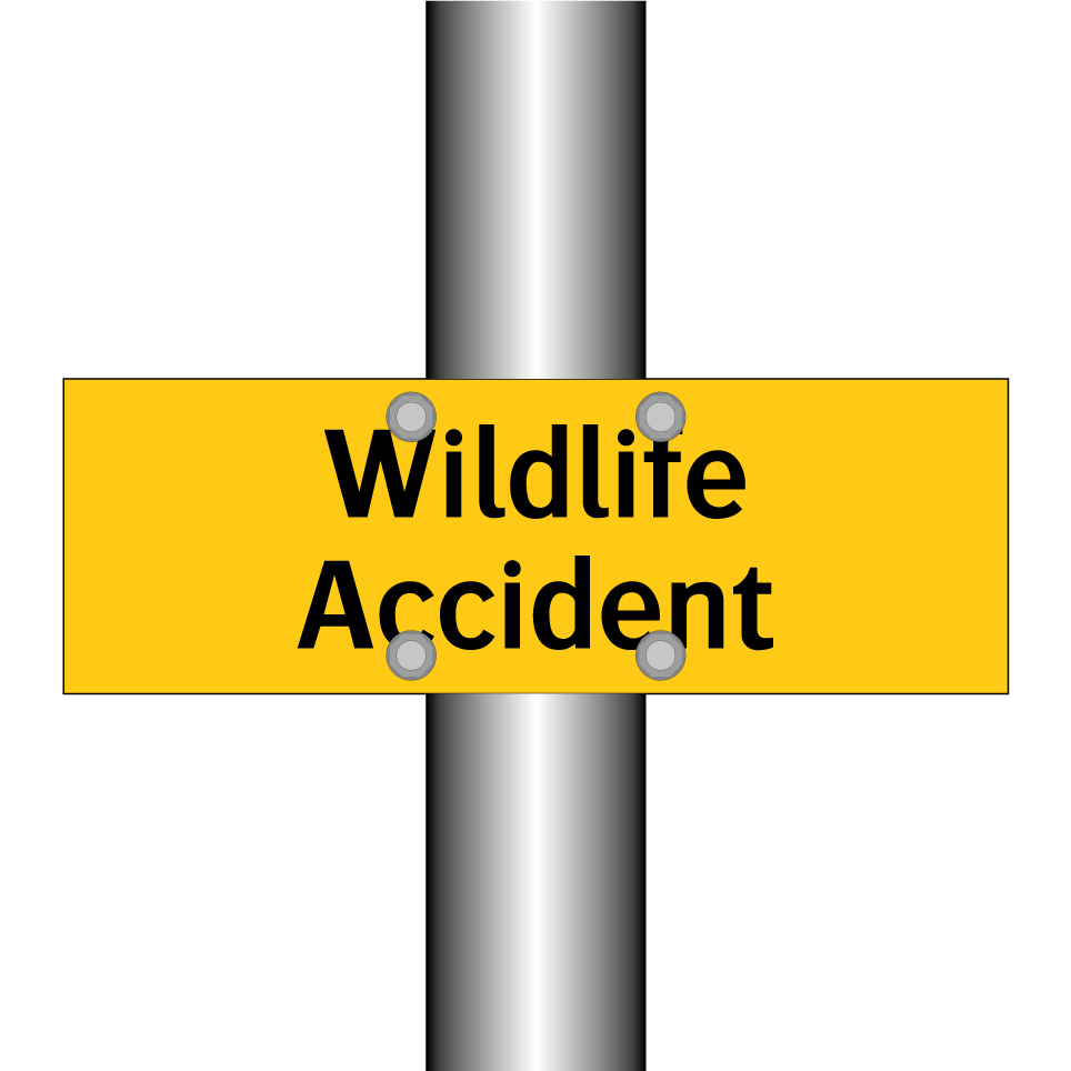 Wildlife Accident