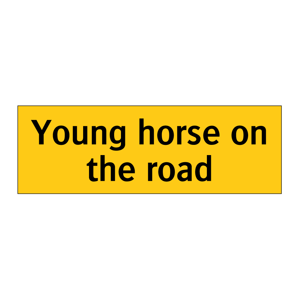 Young horse on the road