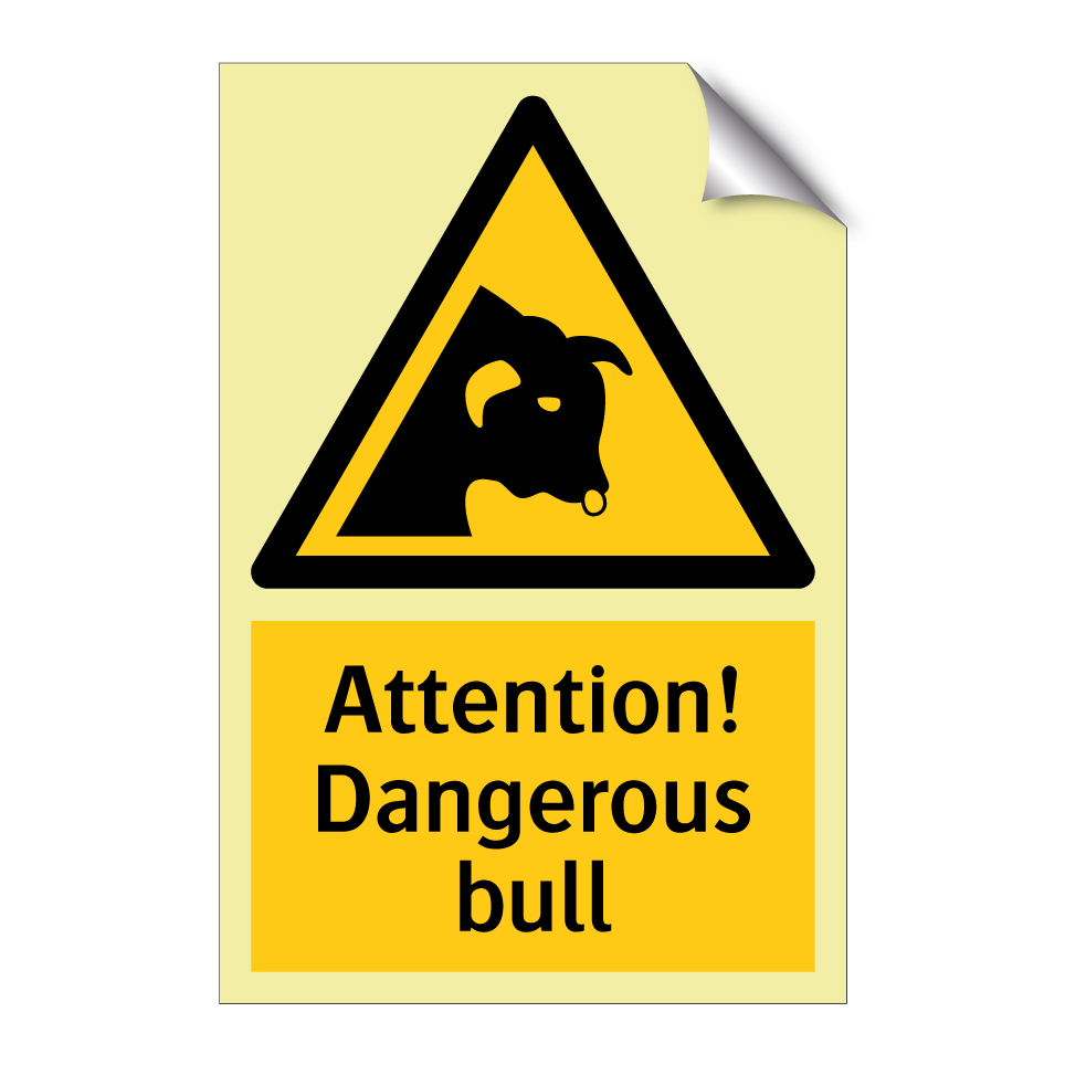 Attention! Dangerous bull