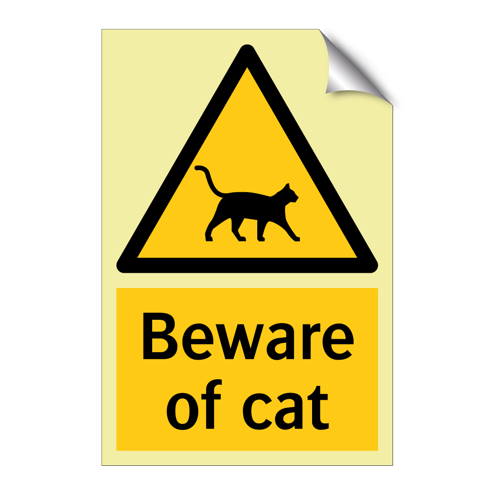 Beware of cat