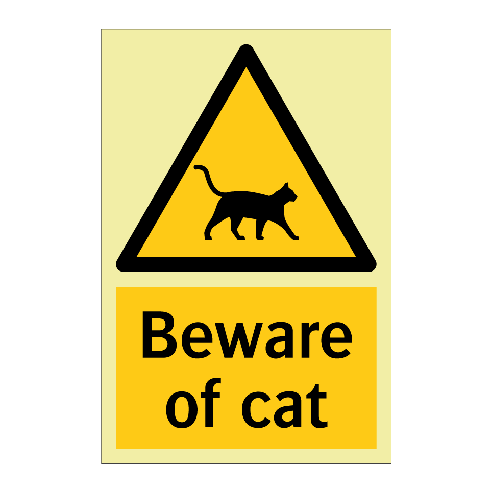 Beware of cat