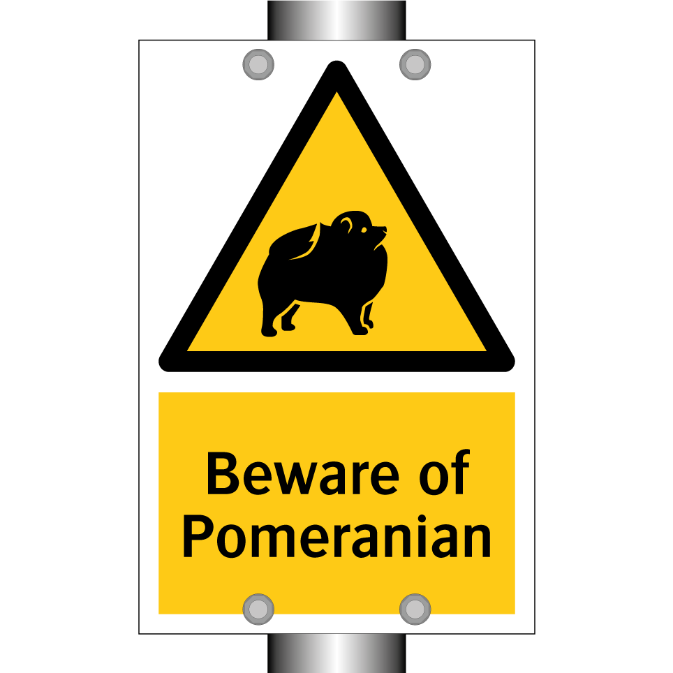 Beware of Pomeranian