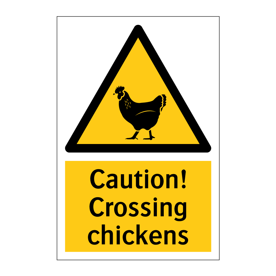 Caution! Crossing chickens