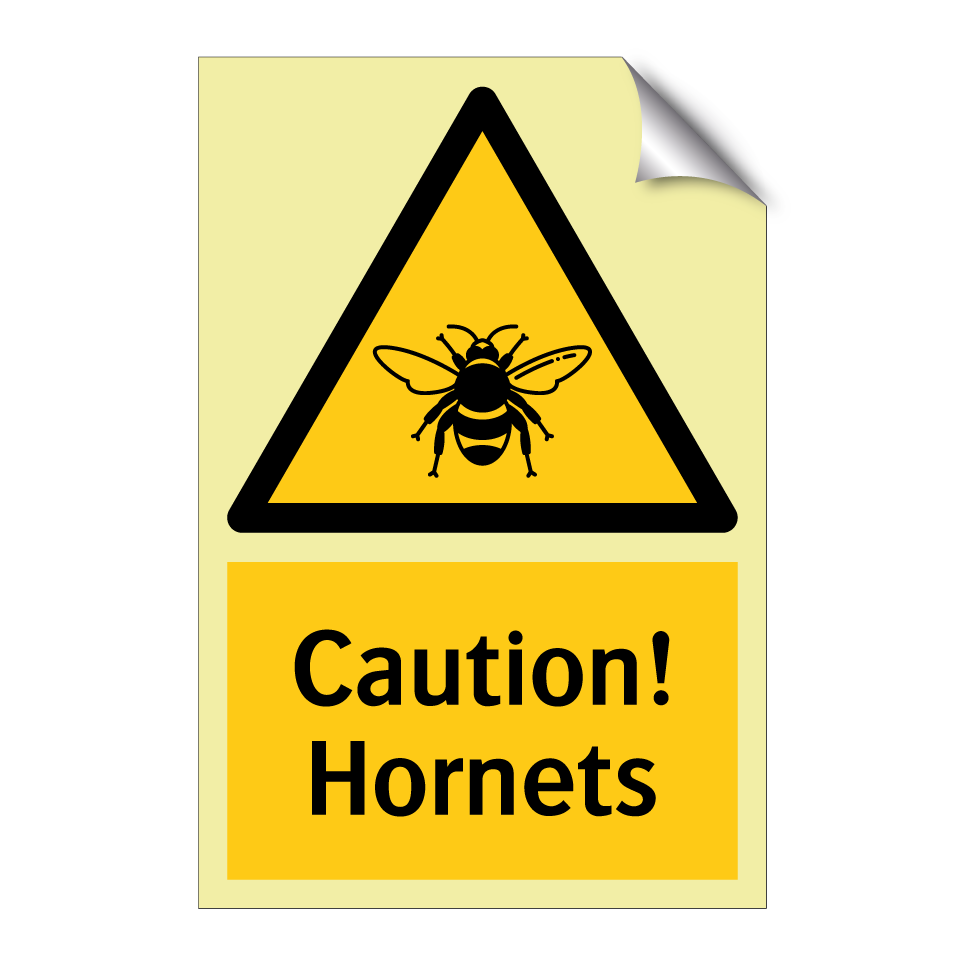 Caution! Hornets