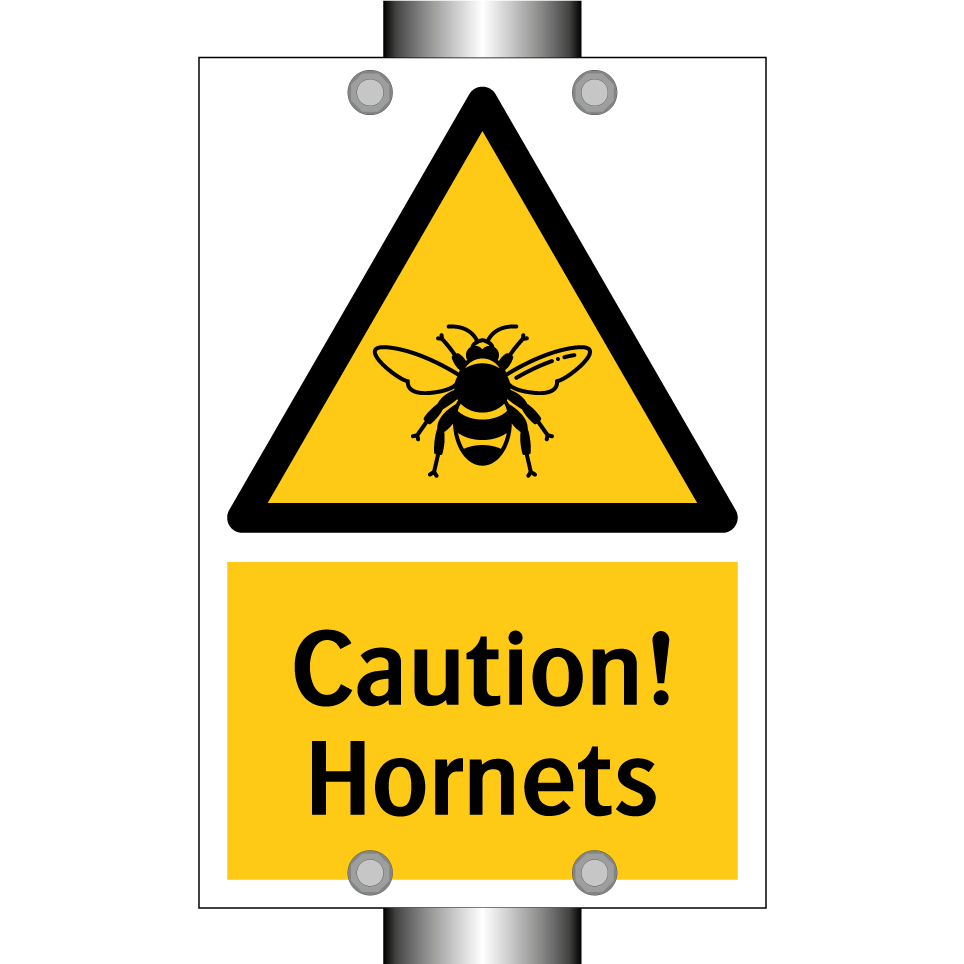 Caution! Hornets