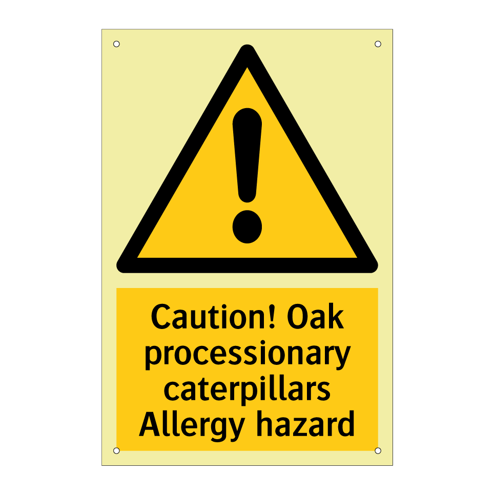 Caution! Oak processionary caterpillars Allergy hazard
