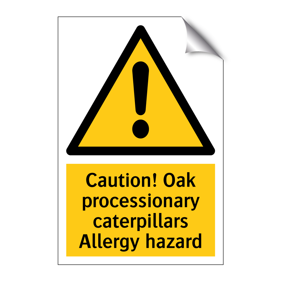 Caution! Oak processionary caterpillars Allergy hazard