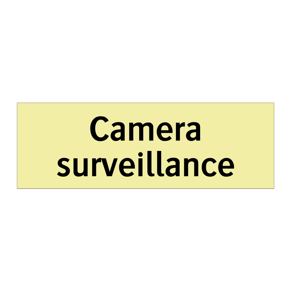 Camera surveillance