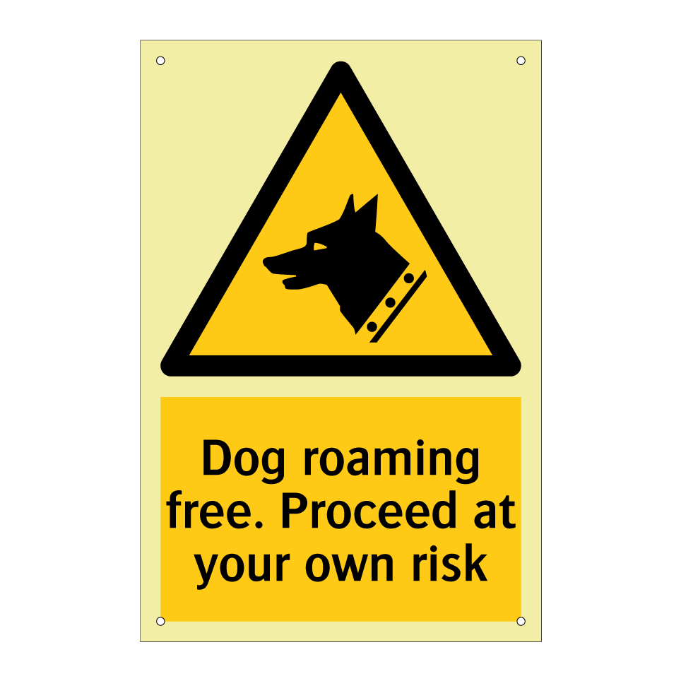 Dog roaming free. Proceed at your own risk