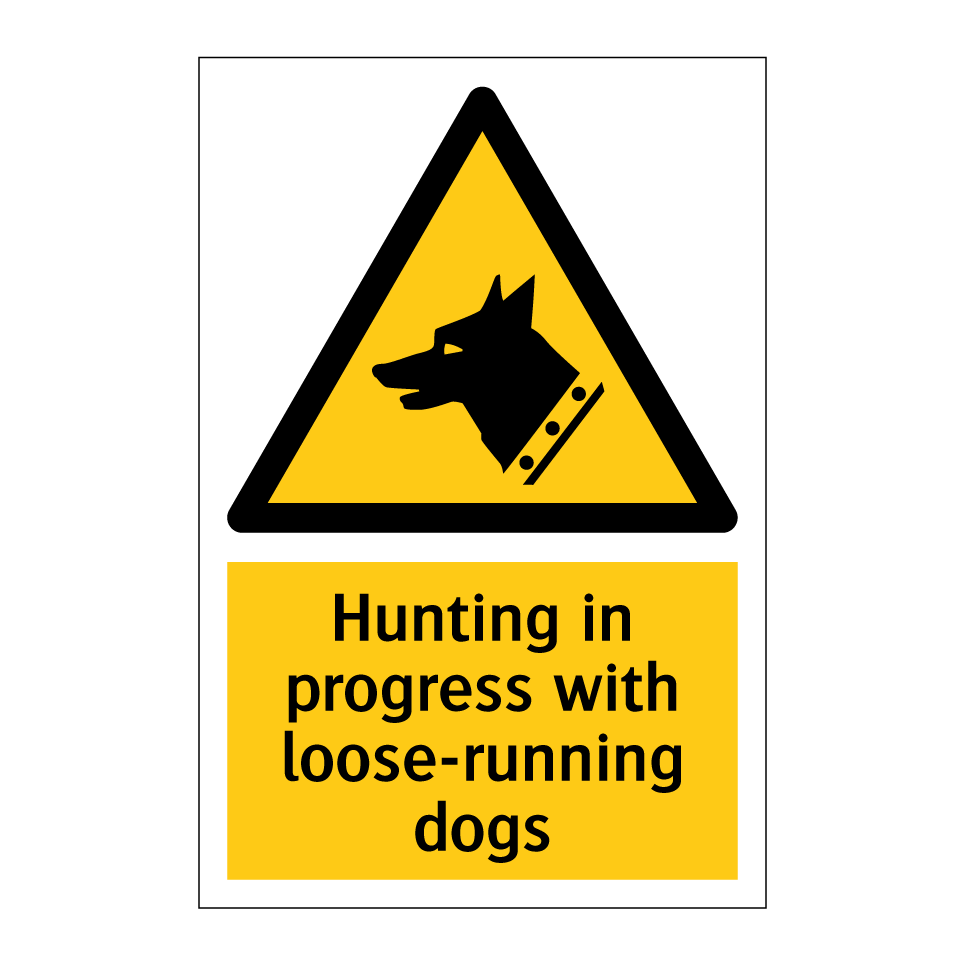 Hunting in progress with loose-running dogs