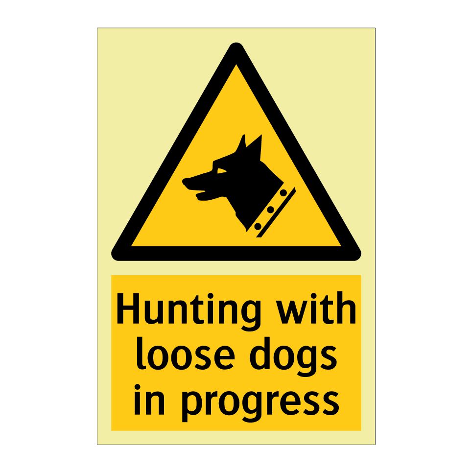 Hunting with loose dogs in progress