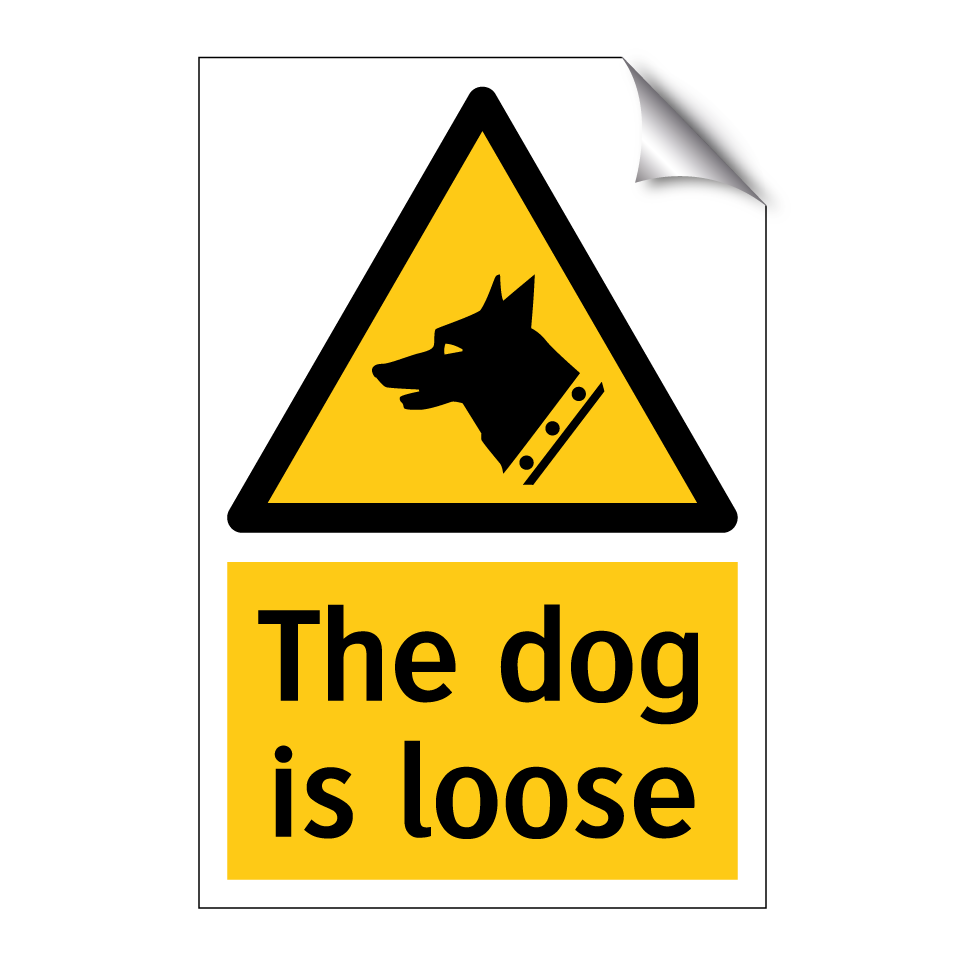 The dog is loose
