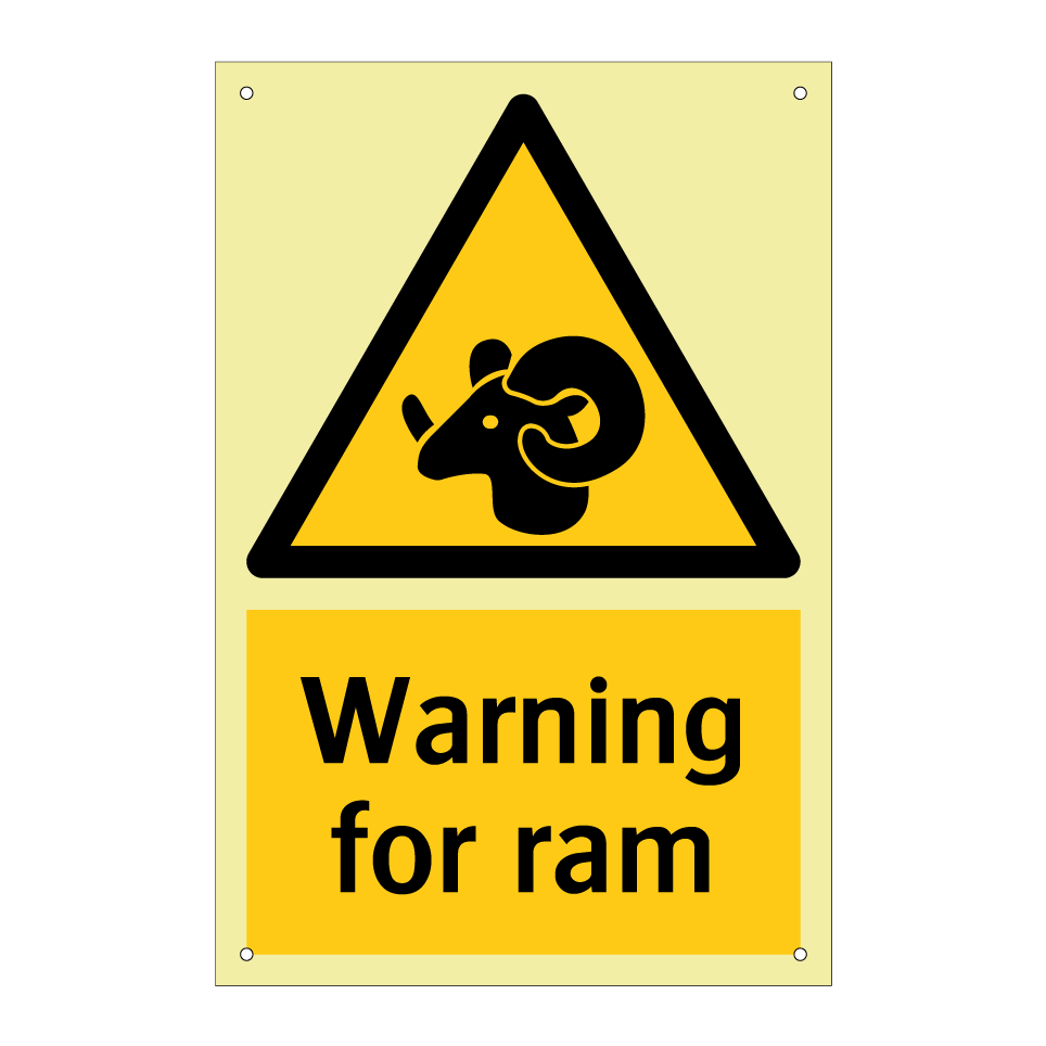 Warning for ram
