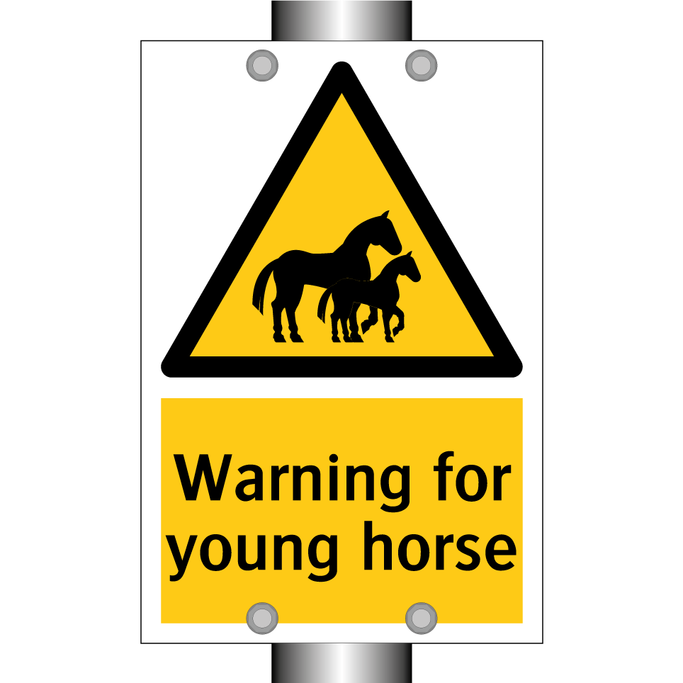 Warning for young horse