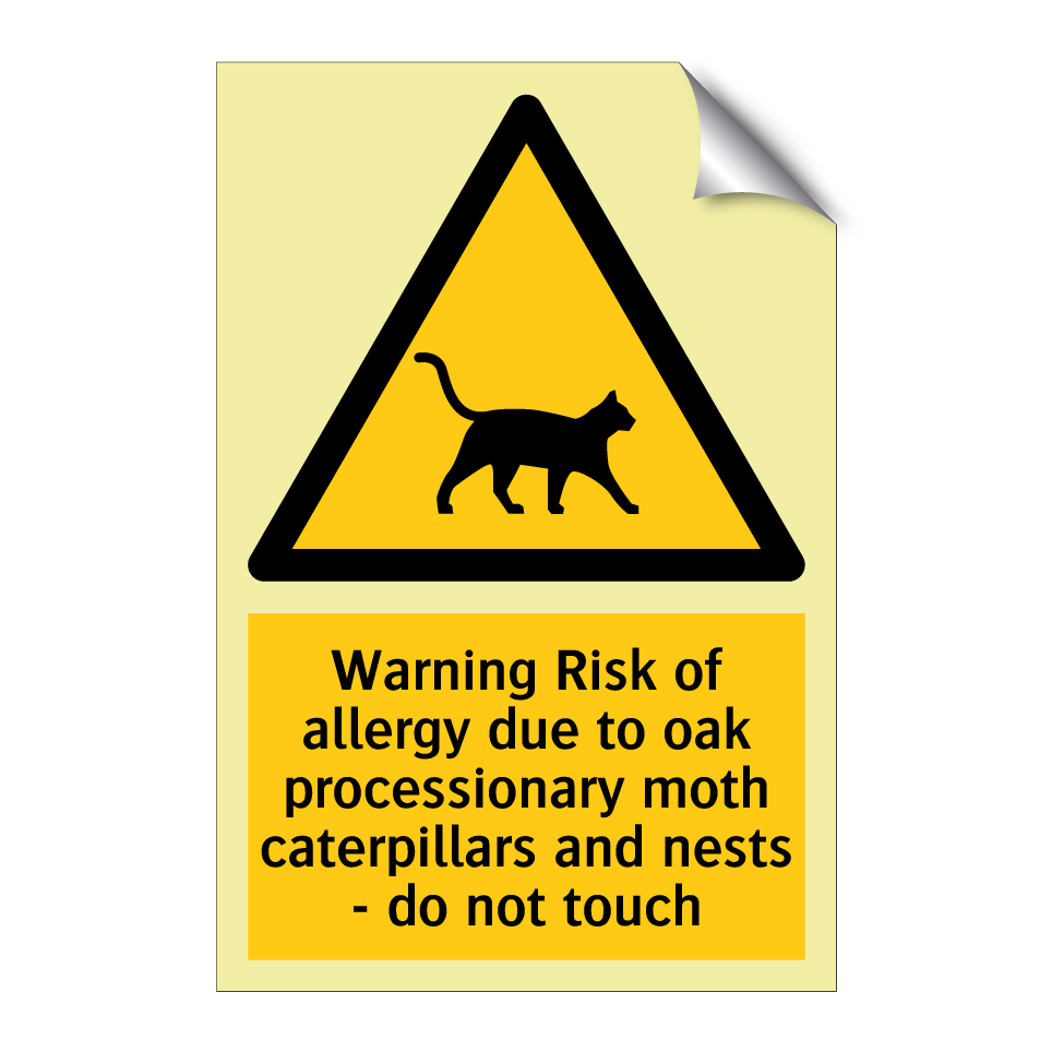 Warning Risk of allergy due to oak processionary moth caterpillars and nests - do not touch