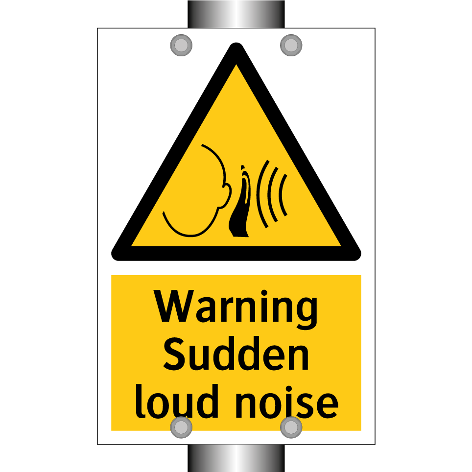 Warning Sudden loud noise