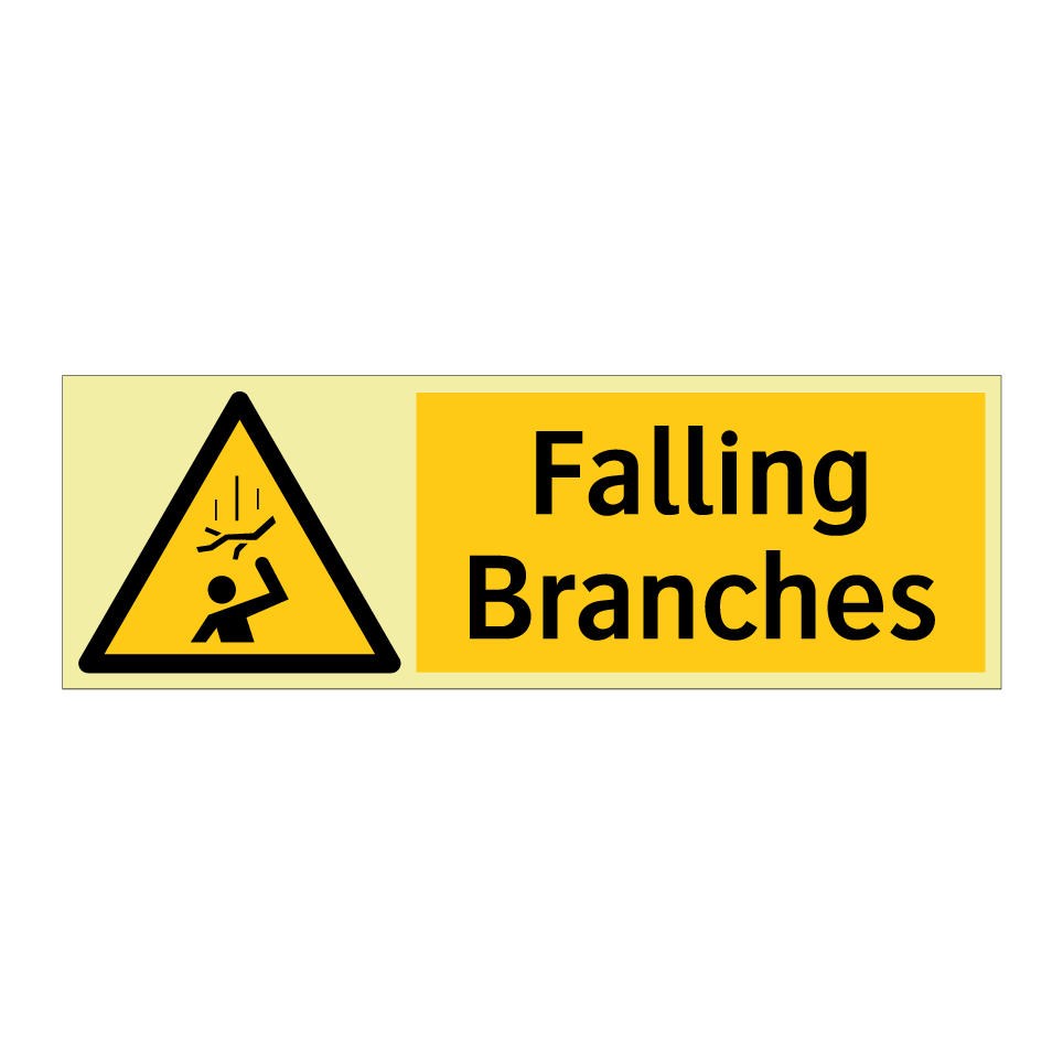 Falling Branches