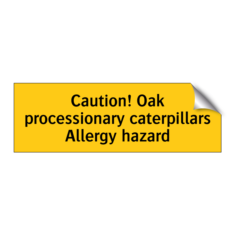 Caution! Oak processionary caterpillars Allergy hazard