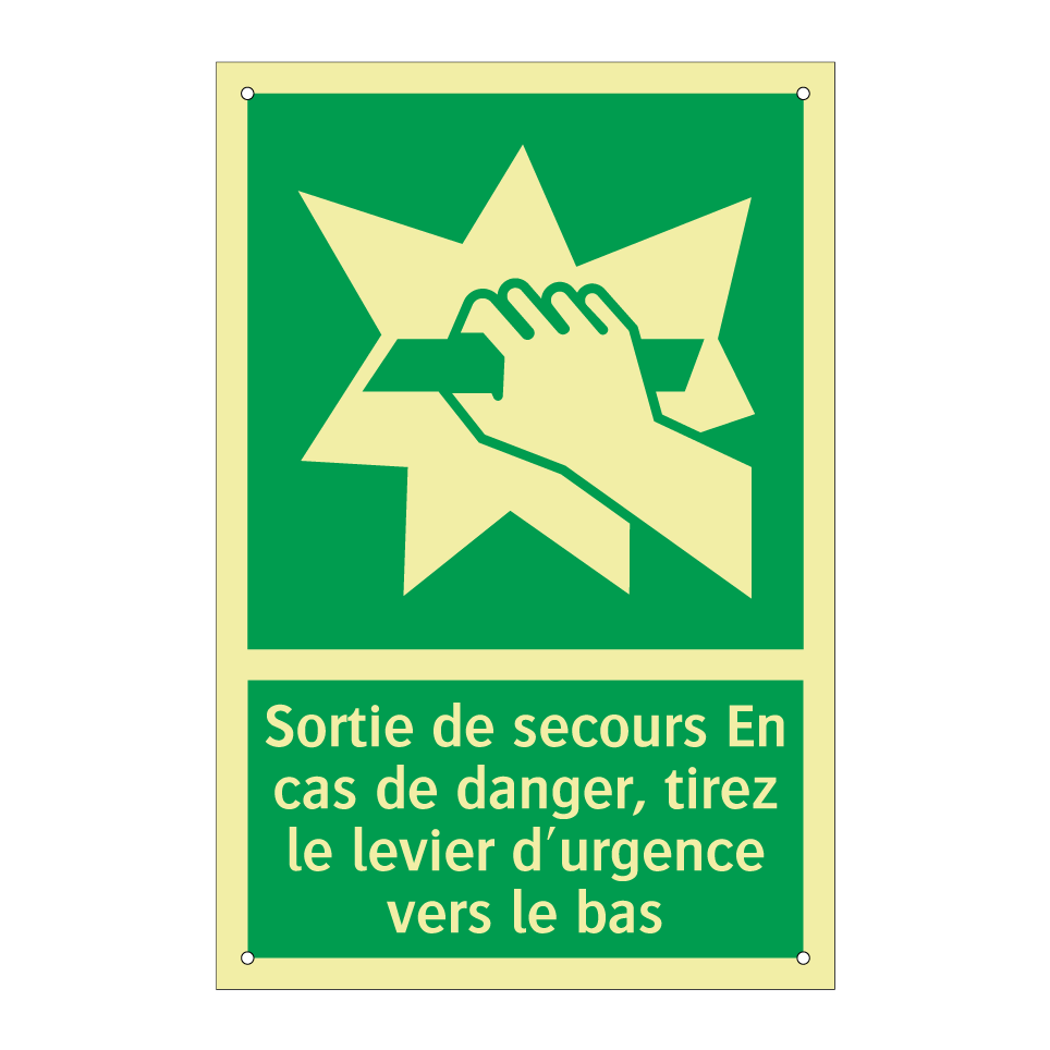 Sortie de secours En cas de danger, tirez le levier d'urgence vers le bas