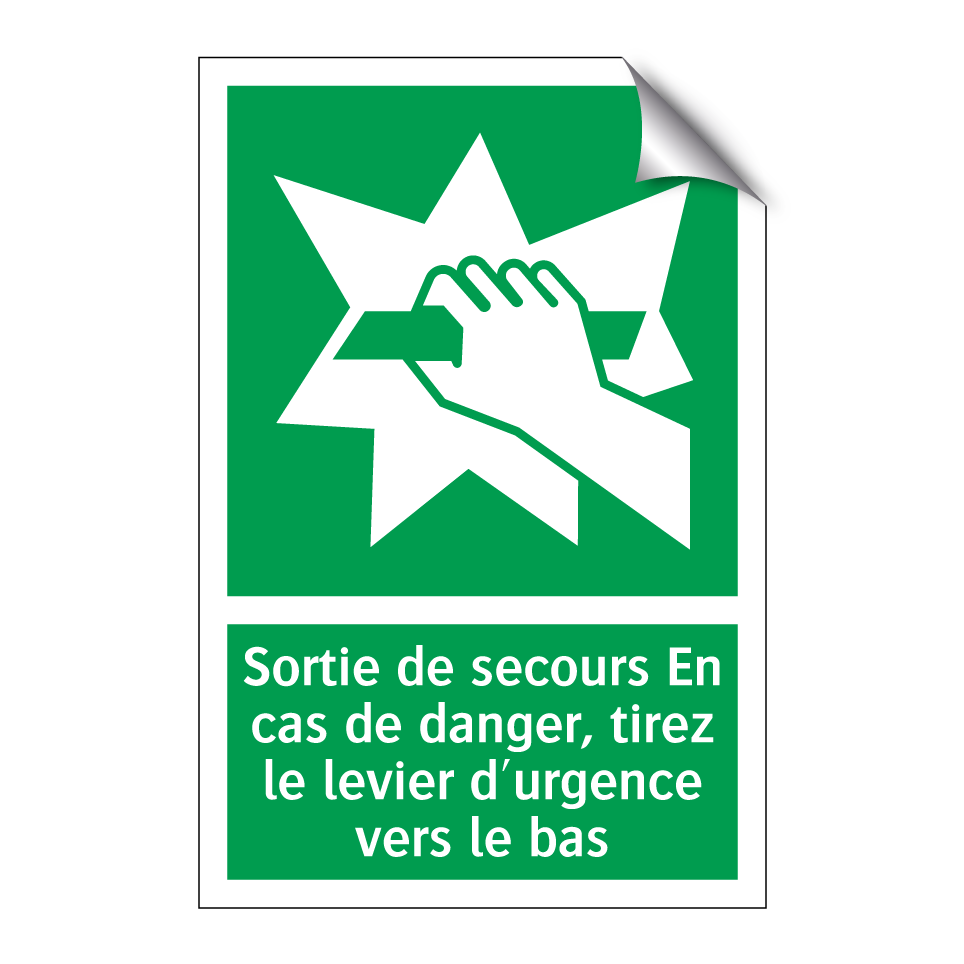 Sortie de secours En cas de danger, tirez le levier d'urgence vers le bas