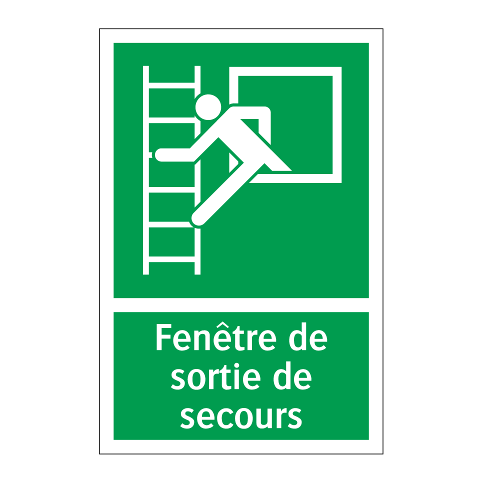 Fenêtre de sortie de secours