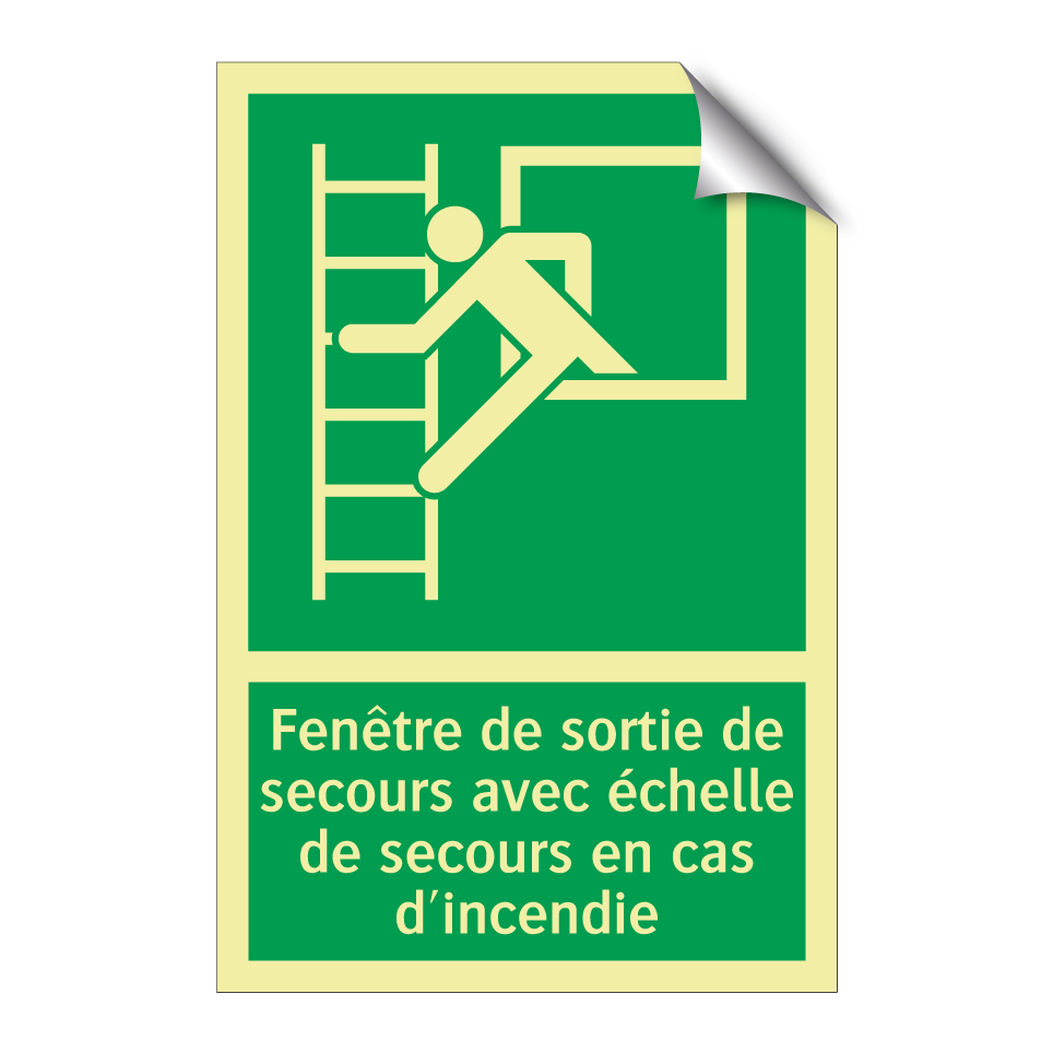 Fenêtre de sortie de secours avec échelle de secours en cas d'incendie