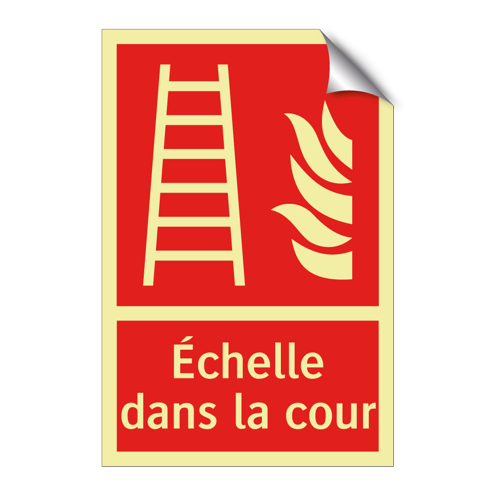 Échelle dans la cour