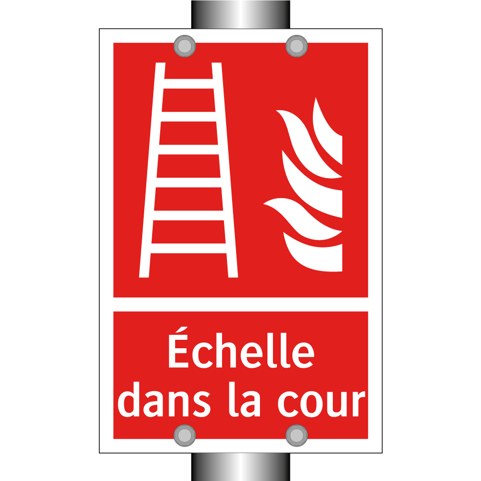Échelle dans la cour