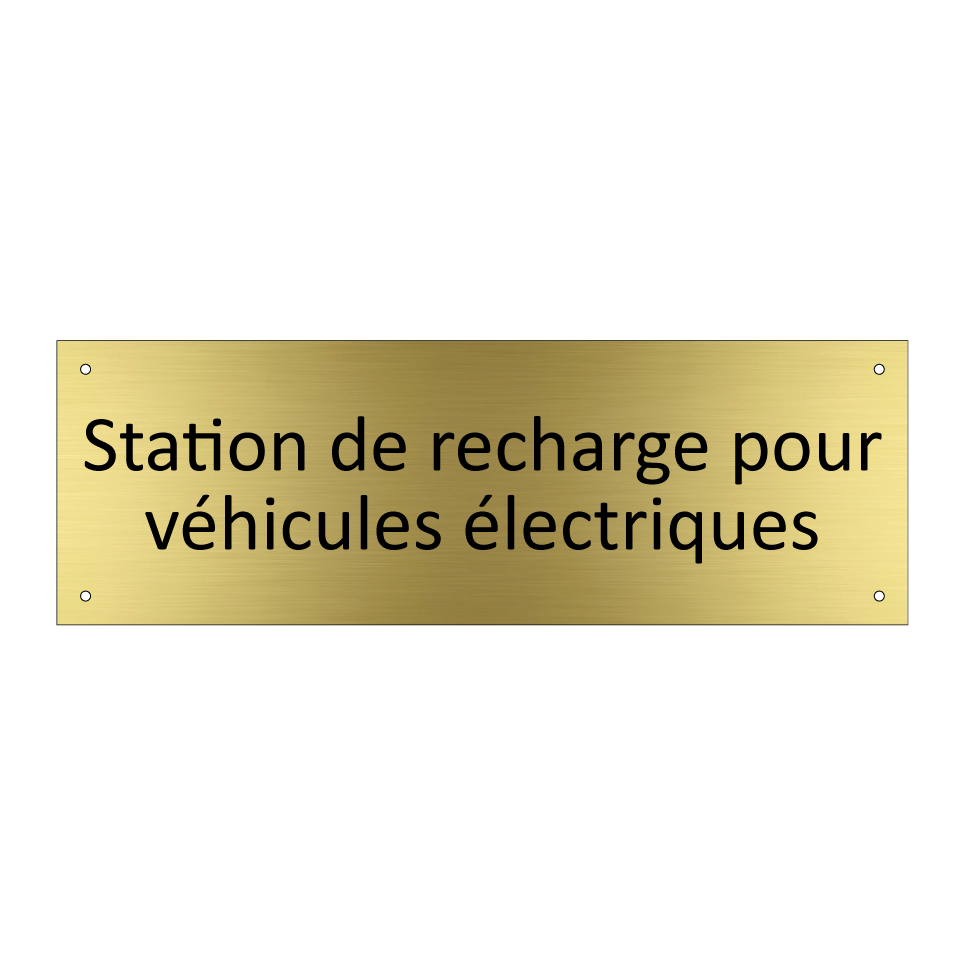 Station de recharge pour véhicules électriques