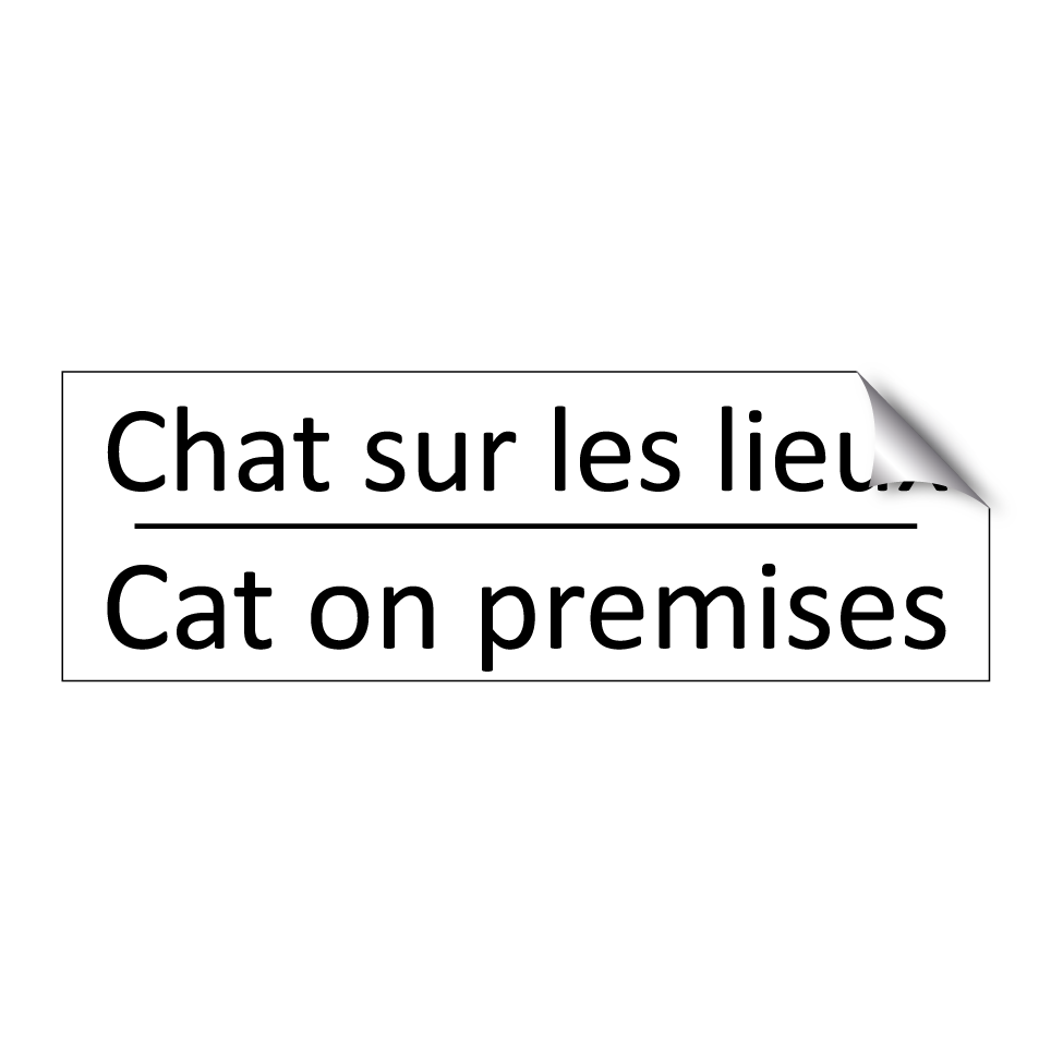 Chat sur les lieux - Cat on premises