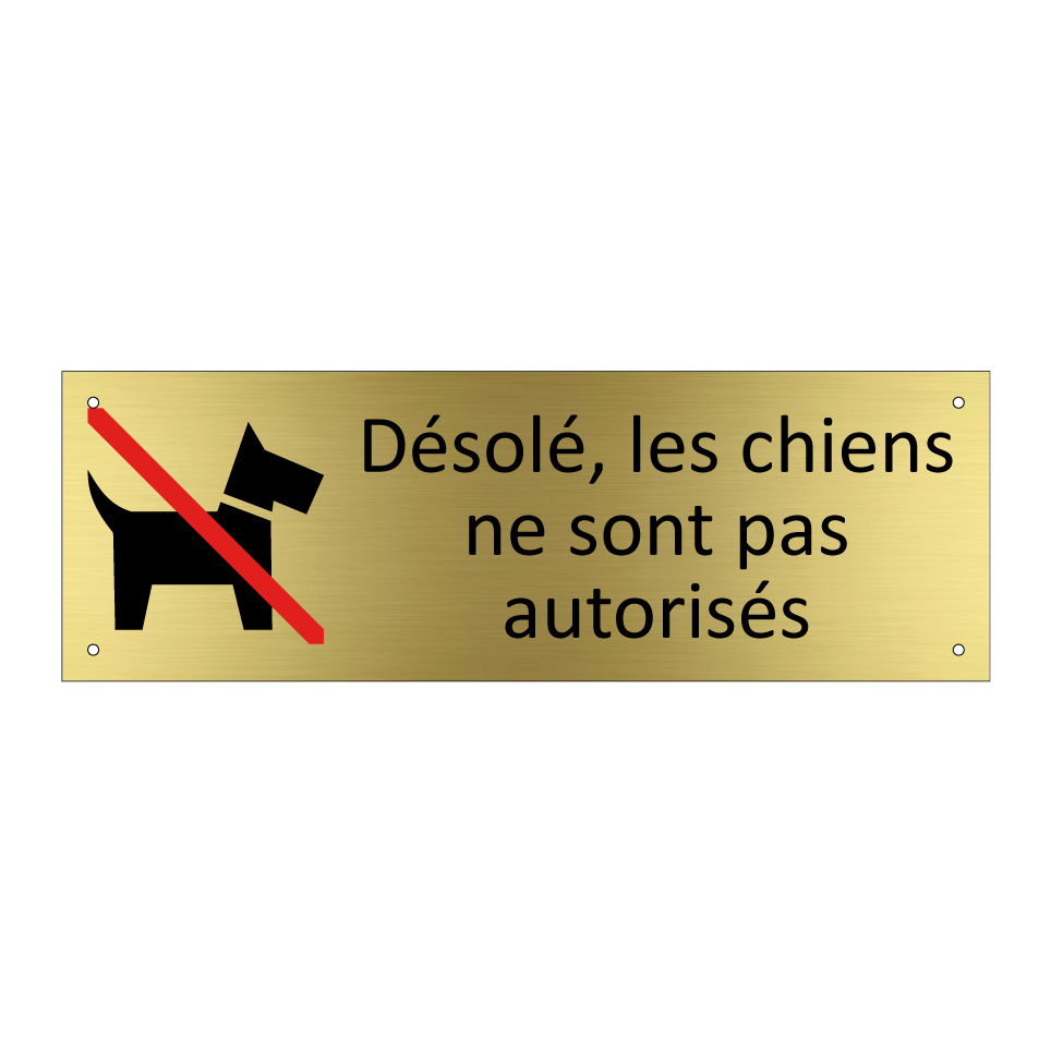 Désolé, les chiens ne sont pas autorisés