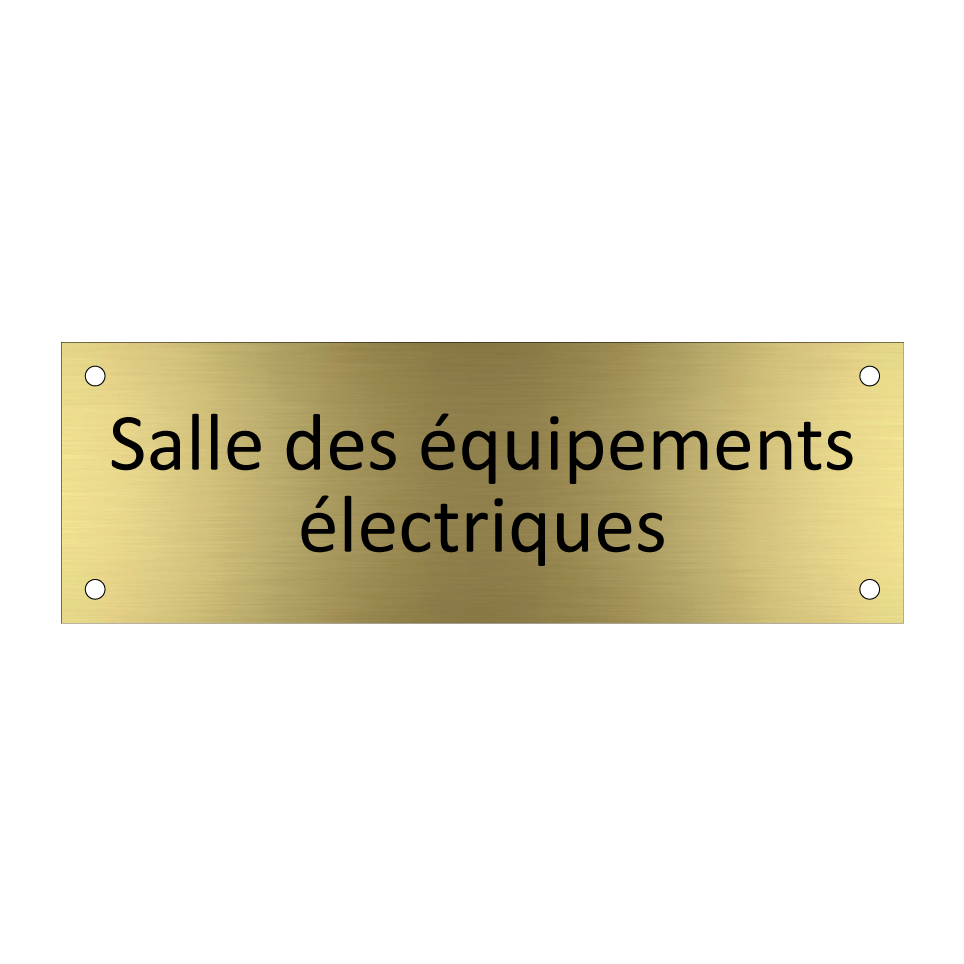 Salle des équipements électriques
