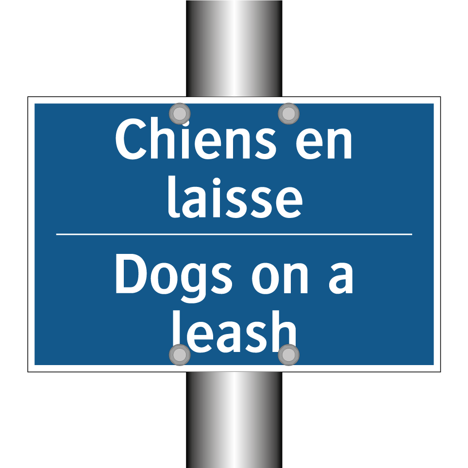 Chiens en laisse - Dogs on a leash