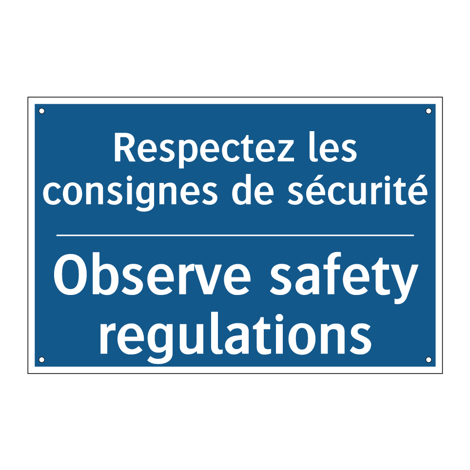 Respectez les consignes de sécurité /.../ - Observe safety regulations