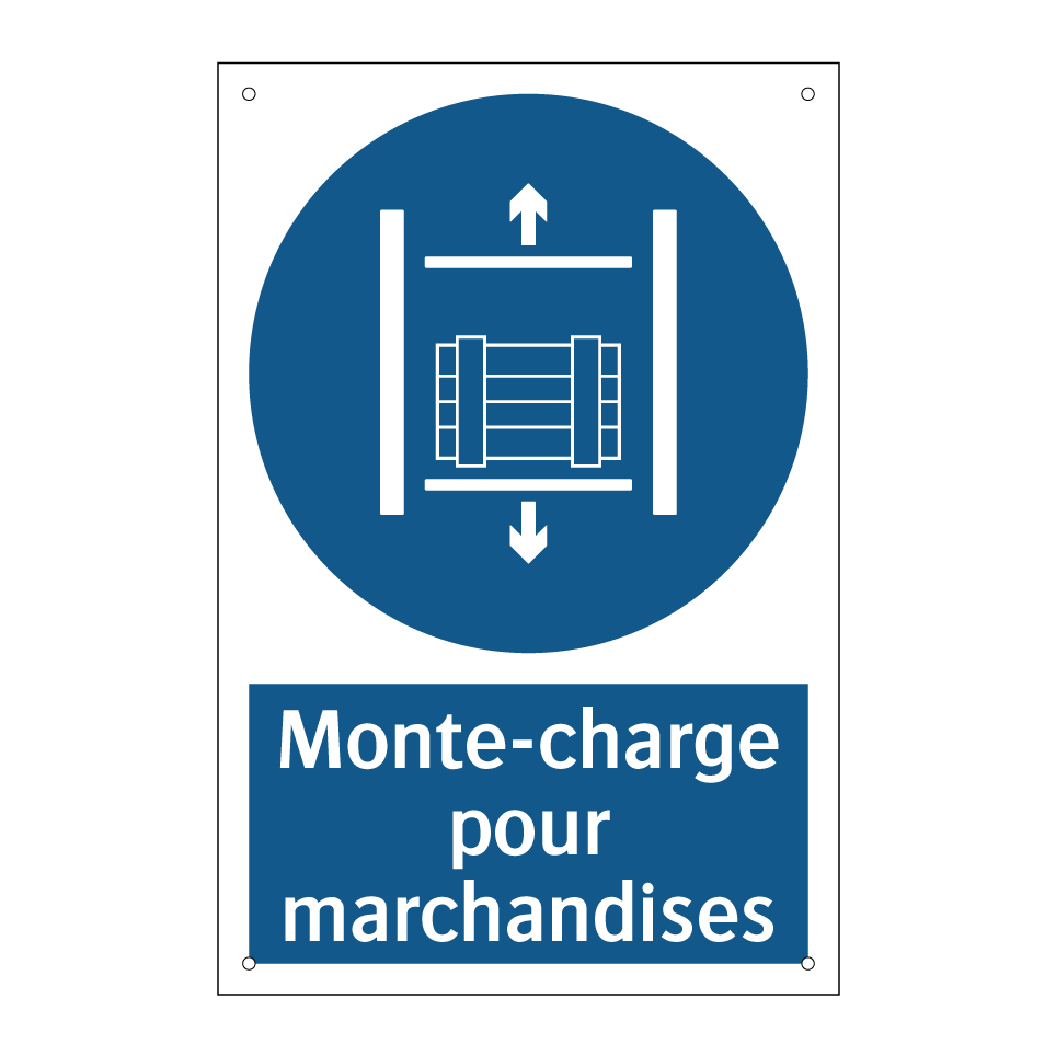 Monte-charge pour marchandises
