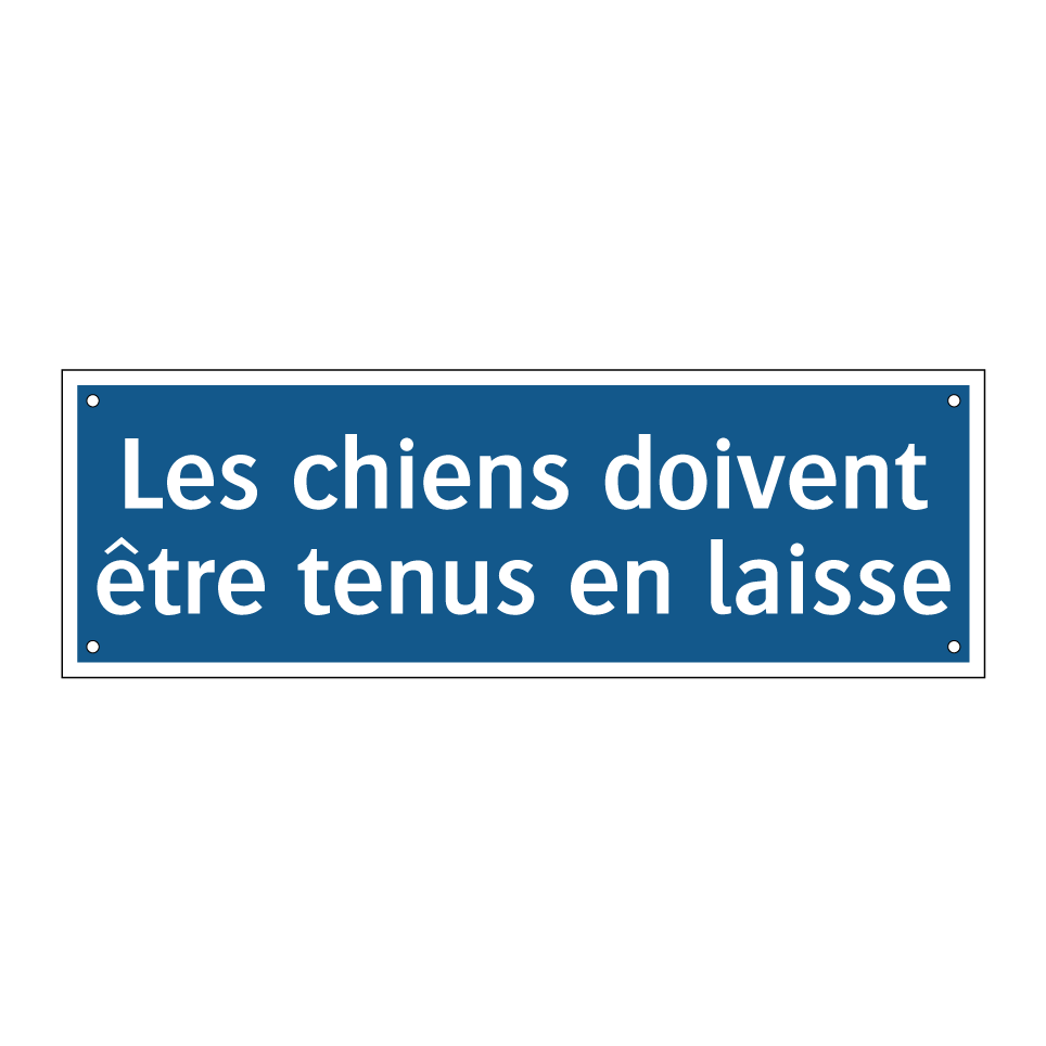 Les chiens doivent être tenus en laisse