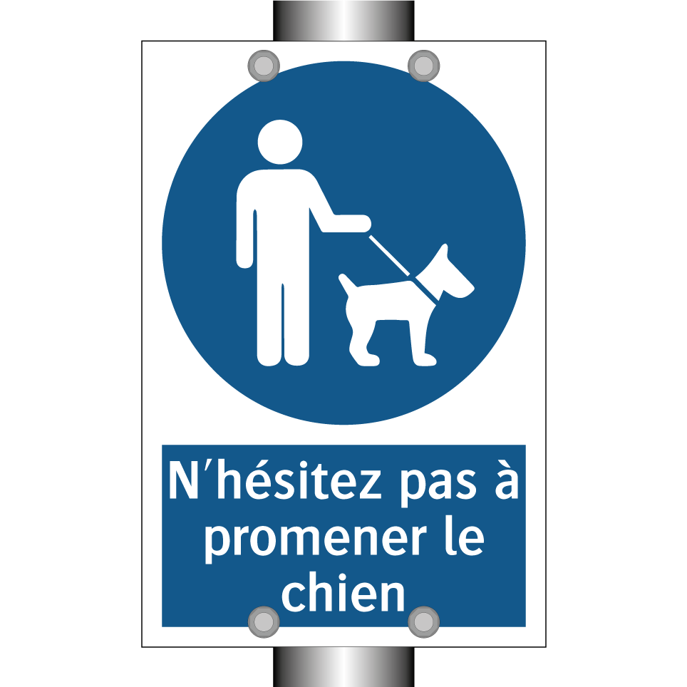 N'hésitez pas à promener le chien