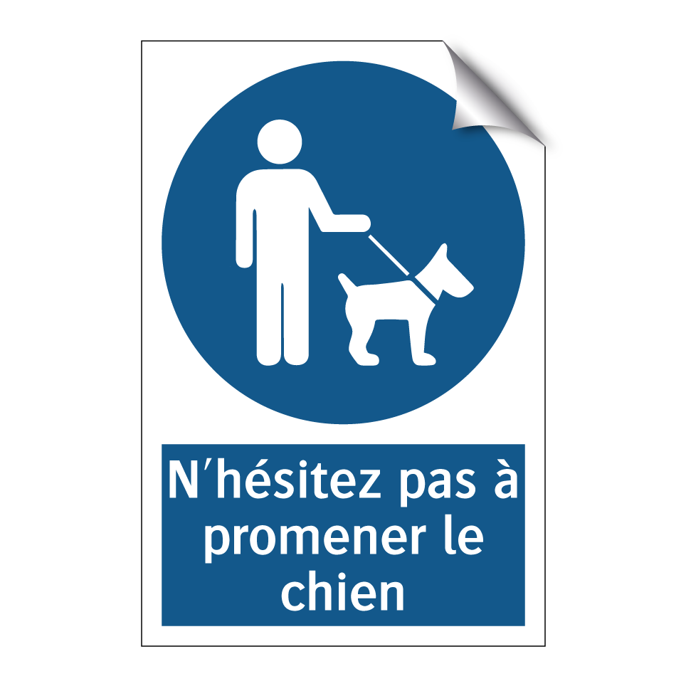 N'hésitez pas à promener le chien