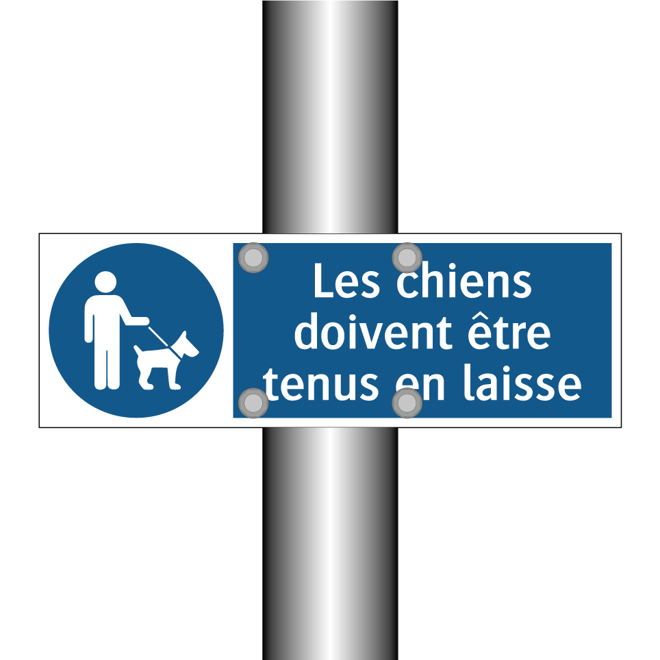 Les chiens doivent être tenus en laisse