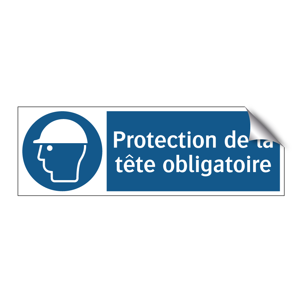 Protection de la tête obligatoire.