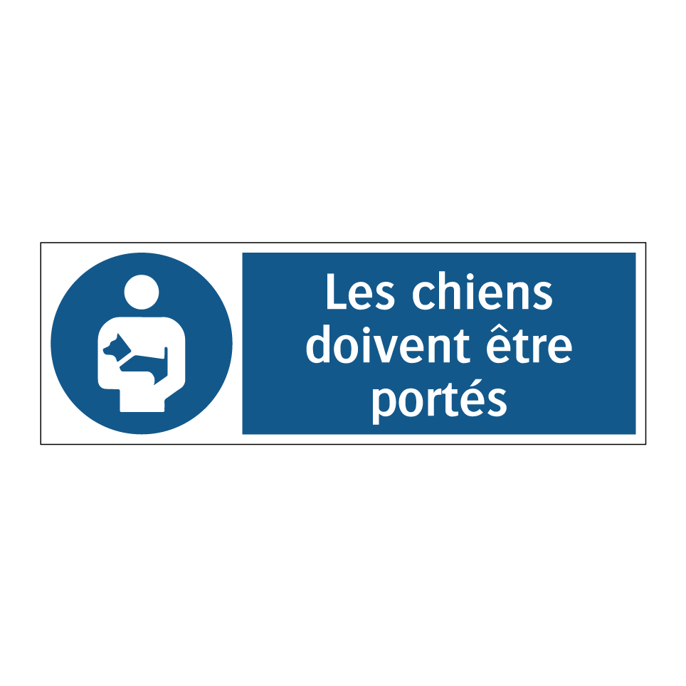 Les chiens doivent être portés