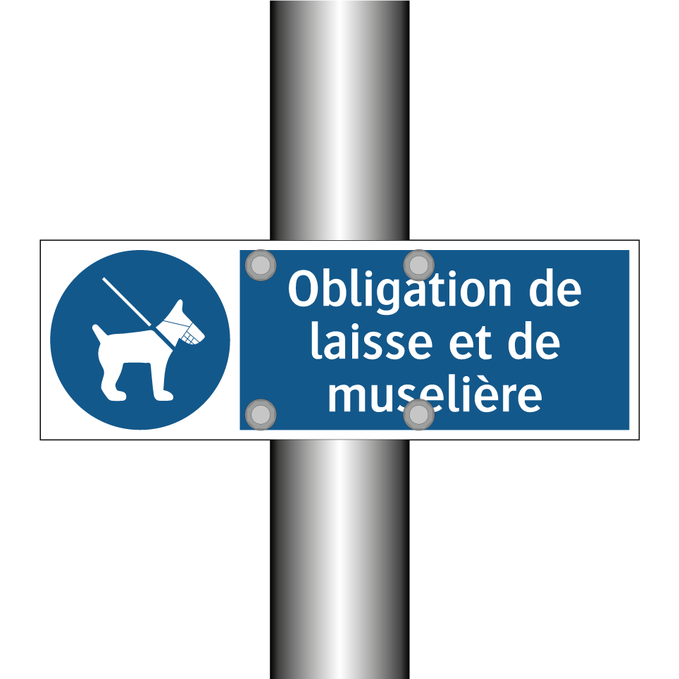 Obligation de laisse et de muselière